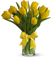 Sunny Yellow Tulips from Brennan's Florist and Fine Gifts in Jersey City